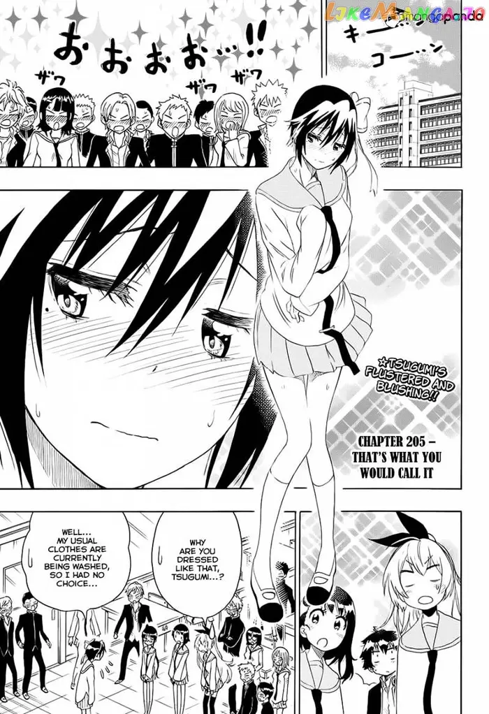 Nisekoi Chapter 205 image 03_optimized